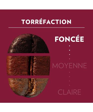 Lavazza Tales of Napoli Coffee Beans 1.5 kg for Automatic Coffee Machines Cocoa and Caramel Notes Arabica and Robusta  - Buy Online on GoSupps.com