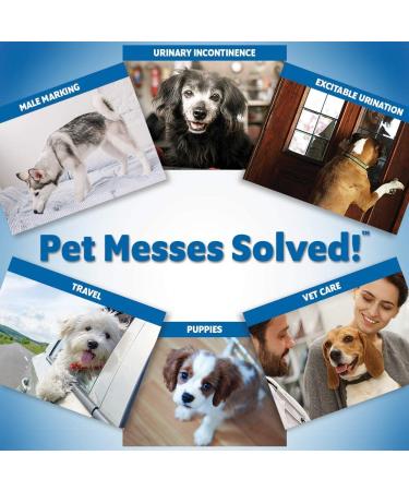 Out! Pet Care Disposable Male Dog Diapers XS/S 32 ct - Leak-proof Protection for Small Breeds - Buy Online on GoSupps.com