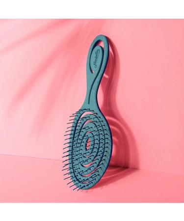 Ninabella Bio Hairbrush - Professional Detangler for All Hair Types Curls & Long Hair - Color Petrol - Perfect for Women Men & Children - Buy Online on GoSupps.com