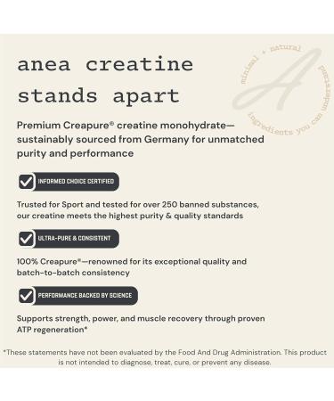 Anea Creatine Monohydrate - Unflavored | 5g Creapure per Serving | Supports Muscle Energy Strength & Recovery | Pure & Filler-Free | Made in GMP Facility - Buy Online on GoSupps.com