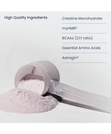 Previnex Muscle Health Plus All-in-One Creatine Monohydrate & Amino Acids Powder with myHMB & AstraGin BCAA 2:1:1 and Essential Amino Acids Supplement for Strength Recovery & Lean Muscle Cherry - Buy Online on GoSupps.com