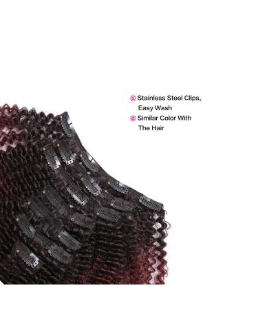 Loxxy Afro Kinkys Curly Hair Extensions Clip In - 10 Inch 4B 4C Natural Hair Clip Ins - Virgin Brazilian Human Hair for Black Women - Red Brown Ombre 1B/99J - Buy Online on GoSupps.com