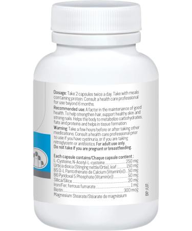 Alterra Hair Food for Hair & Nail 200 Capsules | Hair Skin & Nails Vitamins Supplement |Healthy Hair Vitamins| Vitamin B6 and Biotin for Hair Growth Supplement |Helps in Tissue Formation |Supports Hair and Nail Growth 200 count (Pack of 1) - Buy Online on GoSupps.com