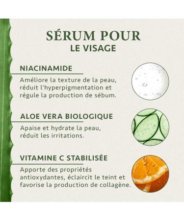 Niacinamide Organic Face Serum Enriched with Vitamin C and Magnesium 100ml For Luminous and Blemish-Free Skin Aloe Vera-Based Face Serum by Satin Naturel - Buy Online on GoSupps.com
