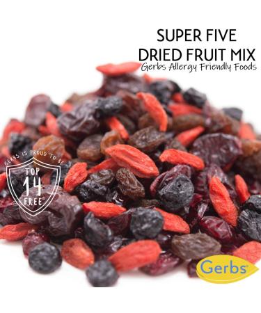 GERBS Super 5 Dried Fruit Snack Mix 2 LBS - Top 14 Allergen Free, Made in USA | Blueberry Cranberry Cherry Raisin Goji Berries Trail Mix | Gluten & Peanut Free - Buy Online on GoSupps.com
