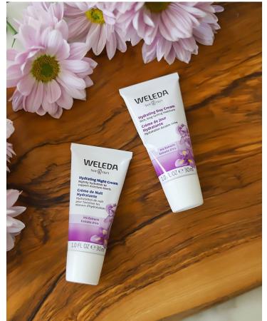 Weleda Hydrating Night Face Cream - 1 fl oz Plant Rich Moisturizer with Iris Root, Calendula, Chamomile - Fragrance-Free - Buy Online on GoSupps.com