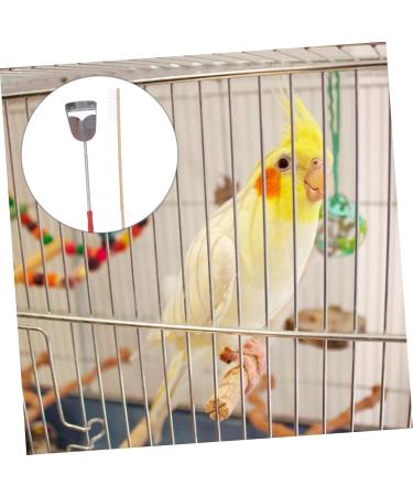 DOITOOL 4 Pcs Birdcage Brush Bird Cage Scoop Shovel Bird Brush Parrot Cage Brush Bamboo Cage Cleaner 7x9cmx2pcs Assorted Colorx2pcs - Buy Online on GoSupps.com