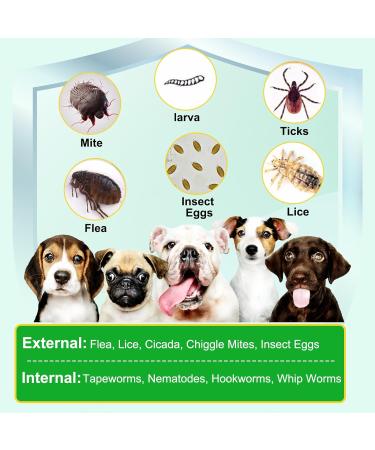 Uocasi Flea and Tick Prevention for Dogs Chewables - Natural Pest Defense Supplement with Peking Duck Flavor (375g, 150 chews) - Buy Online on GoSupps.com