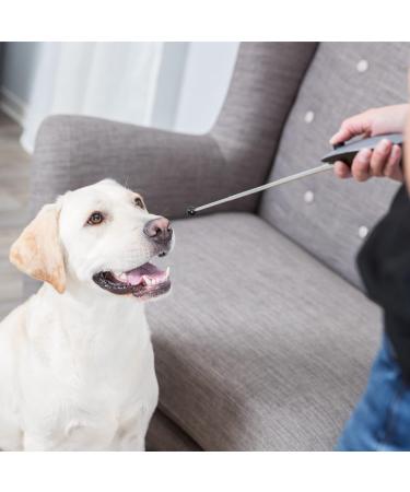 2-Piece Target Stick Set with Clicker | Perfect Training Tool for Pets | International Shipping Available - Buy Online on GoSupps.com