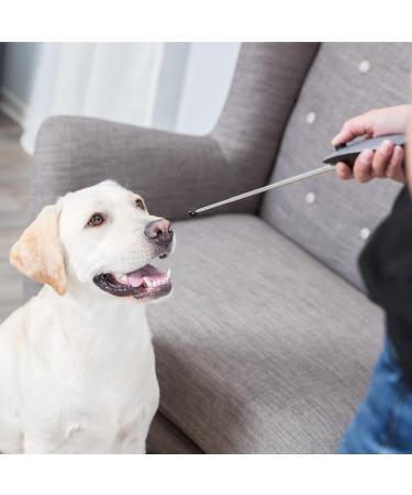 Schecker 5-Piece Target Stick Set | Portable Training Tool for All Dogs | Perfect for International Shipping - Buy Online on GoSupps.com