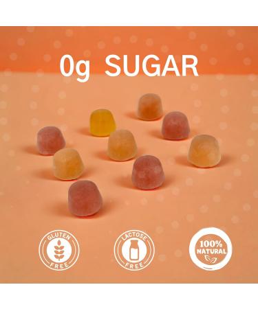 Consult Health Fiber Supplement Gummies - Sugar Free Multi Fruit Flavor - 6g Prebiotic Plant Based Fiber Blend - 120 Count - Buy Online on GoSupps.com