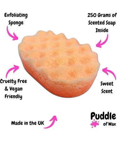Summer Scoop Exfoliating Soap Sponge - 250g - Moisturising Shea Butter - Sweet Scent - Vegan Friendly - Puddle of Wax - Made in The UK - Buy Online on GoSupps.com
