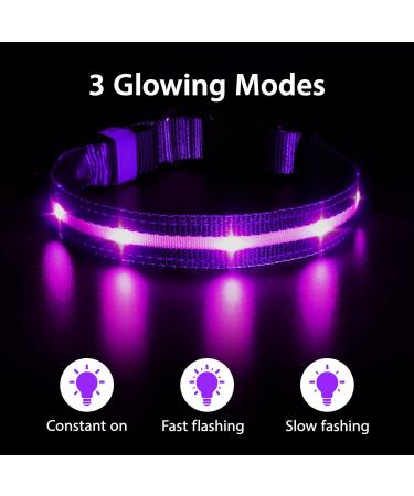 Buy Masbrill LED Dog Collar - Waterproof Luminous Safety Collar with 3 Flashing Lights for Small to Large Dogs (Purple 48-60cm) | International Shipping Available - Buy Online on GoSupps.com