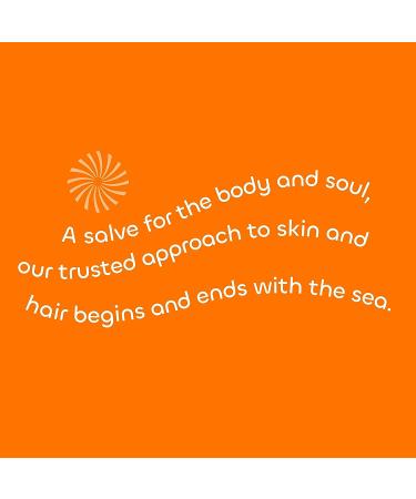 Seaweed Bath Co. Firming Body Cream - Orange Cedar Scent - 6oz - Sustainably Harvested Seaweed & Chlorella - Green Coffee Bean - 1 Pack - Buy Online on GoSupps.com