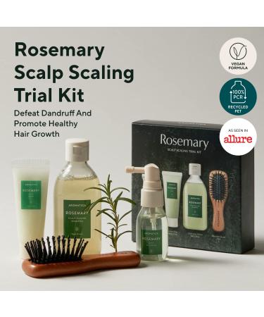 AROMATICA Rosemary Scalp Scaling Trial Kit with Mini Wooden Hair Brush - Clearer, Dandruff-Free Hair - Plant-Based Vegan Shampoo - 3.38 fl. oz Shampoo + 1.01 fl. oz Root Enhancer & Scalp Scrub - Buy Online on GoSupps.com