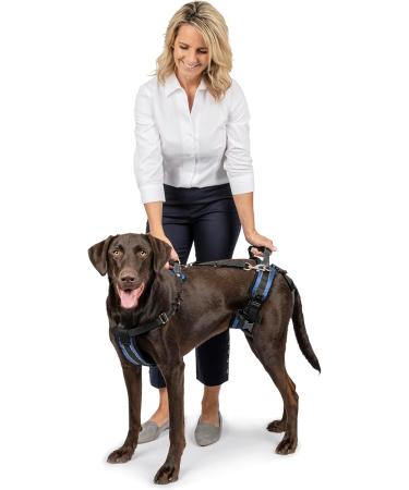 PetSafe CareLift Lifting Harness for Dogs - Size M | Support & Mobility Aid for Easy Lifting In and Out - Buy Online on GoSupps.com