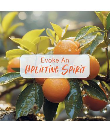 Se../cret Temptation Te Amo Breeze Perfume Body Spray for Women 120ml - Buy Online on GoSupps.com