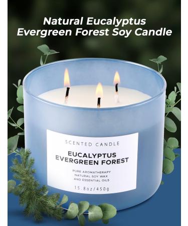 Eucalyptus Evergreen Forest 3 Wick Candle | Luxury Scented Aromatherapy Candle for Home | Relaxation & Stress Relief | 15.8 oz Balsam Fir Woods Candle - Buy Online on GoSupps.com