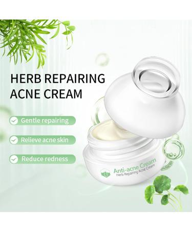 Herbal Acne Cream - Spot Treatment Cream Spot and Acne Treatment For Face and Body Acne Scar Pimple Cream for Face & Back Acne Anti-Blemish Care - Non-Drying and Gentle For All Skin Types - Buy Online on GoSupps.com