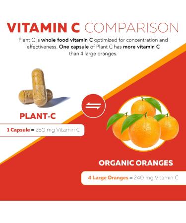 Organic Vitamin C | Whole Food Vitamin C from Fruit Plus Absorption Enhancing Cofactors - Vegan Enhanced Bioavailability - Immune Support Antioxidant Total Health (90 Servings) - Buy Online on GoSupps.com