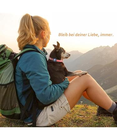 Buy Lightweight Waterproof Silicone Holder for Airtag Dog Collar - Pink Slide-On Case for 2021 Accessories - International Shipping Available - Buy Online on GoSupps.com