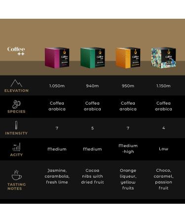 COFFEE++ Super Specialty Single Serve Pour Over Drip Coffee Gift for Mom & Dad - 100% Arabica - 84 SCA Grade - Medium Roast Ground - Cup of Excellence Grade 89+ - Pack of 4x10 Filter Packs - VARIETY ARARA - GEISHA - CLASSICO - GABRIEL - Buy Online on GoSupps.com