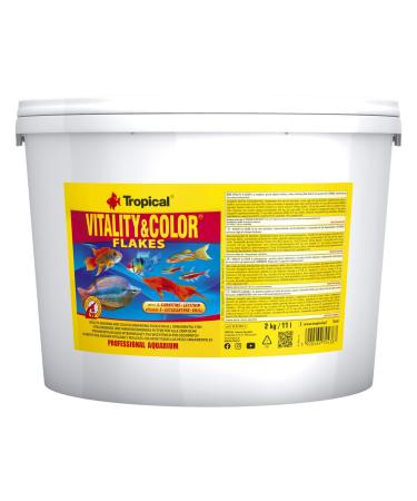 TROPICAL Vitality & Color Food for Aquariums 11 L