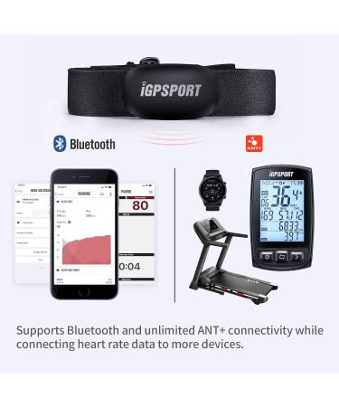 iGPSPORT HR40 Heart Rate Monitor - Waterproof IPX7 Bluetooth & ANT+ Compatible Chest Strap for Running Cycling & Gym Workouts - Buy Online on GoSupps.com