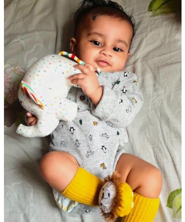 Shumee Bunny Penguin Teether, Elephant Plush Toy & Ball Sensory Set for Babies - Buy Online on GoSupps.com