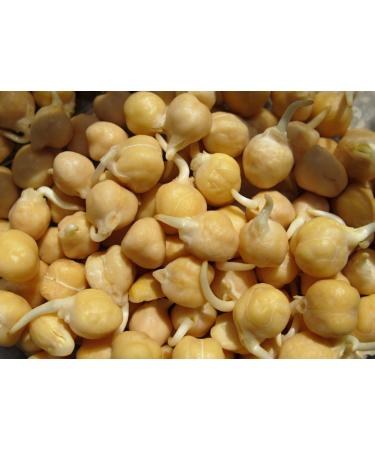 Cool Portaal Germinated Chickpea Seeds 600 Gram