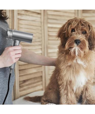 Lightweight Ionic Hair Dryer - High Speed Low Noise 360 Magnetic Nozzle Fast Drying Professional & Travel Ready - Buy Online on GoSupps.com