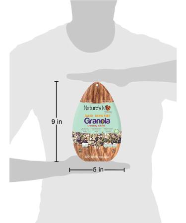Nature's Mix Paleo Grain Free Granola with No Preservatives added Paleo Grain Free Granola 200 g - Buy Online on GoSupps.com