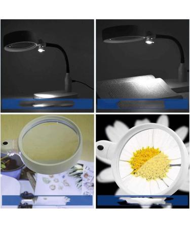 Professional Desktop with Light 10 Times 20 Times Old Reading Repair Phone Repair Full of Stars - Buy Online on GoSupps.com