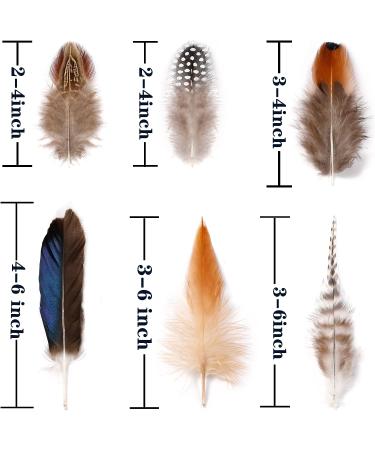 Larryhot Natural Pheasant Craft Feathers - 240 pcs Mixed Styles for Dream Catchers, Jewelry, Hats - Natural Feathers for DIY Projects - Buy Online on GoSupps.com