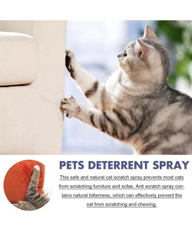 MRGIINRI Cat Wall Bed 50mlCat Spray Training Aid For Cat Scratch Furniture Protector Keep Pet Off Indoor Outdoor Use Cat Devices Indoor (A One Size) - Buy Online on GoSupps.com