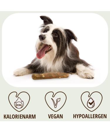 Petlove Olive Wood Chewing Bones for Dogs | Dental Care Toy for Puppies & Small Dogs | 2-Pack S (60-99g) - Buy Online on GoSupps.com