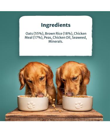 Burns Pet Nutrition Hypoallergenic Complete Dry Dog Food Adult and Senior Dog Weight Control Chicken and Oats 2 kg(Packaging may vary) 2 kg (Pack of 1) - Buy Online on GoSupps.com
