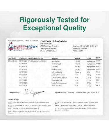 Liposomal Glutathione - Ultra High Absorption Liquid Supplement for Detox Immune Support Skin Health & Mental Clarity - Shop Internationally - Buy Online on GoSupps.com