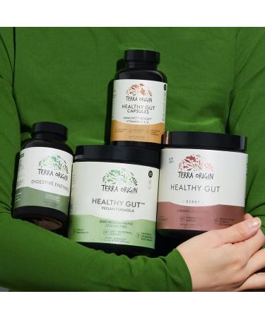 Terra Origin Healthy Gut Vegan Protein Powder - 8.7 oz for Digestive Wellness - Buy Online on GoSupps.com