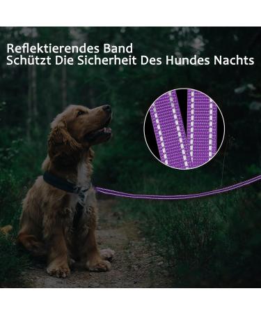Demigreat Reflective Dog Leash - 3m/5m/10m/15m/20m Training Line with Padded Handle for Small to Large Dogs - Durable & Robust Violet Color - Buy Online on GoSupps.com