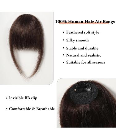 Bangs Hair Clip 100% Human Hair Bangs Natural Brown Bang Hair Clip in Bangs Fringe with Temples Hairpiece for Women Clip on Air Bang 4.5in Bangs Clip in Hair (Color : HLH1004-2) - Buy Online on GoSupps.com