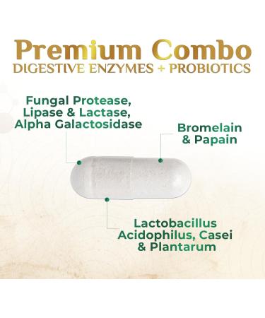 Digestive Enzymes with Probiotics - Probiotic Multi Enzymes with Probiotics and Prebiotics for Digestive Health and Bloating Relief for Women & Men Daily Enzymes for Gut & Digestion - 120 Capsules 120 Count (Pack of 1) - Buy Online on GoSupps.com