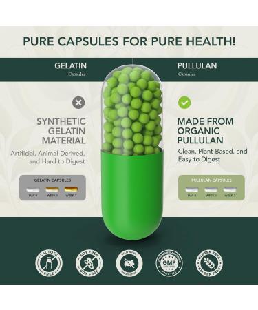 40 Plus Multivitamin for Women & Men with Vitamin A D B6 B12 E Zinc Magnesium Calcium - Vegan Gluten Free Mens & Womens Multivitamin Supports Energy Immunity Joint & Heart Health (120 Cap) - Buy Online on GoSupps.com
