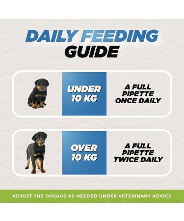 Dog Pain Relief Liquid - Natural Fast-Acting Formula for Joint Pain and Inflammation Made with Organic Ingredients Safe for All Breeds - Buy Online on GoSupps.com