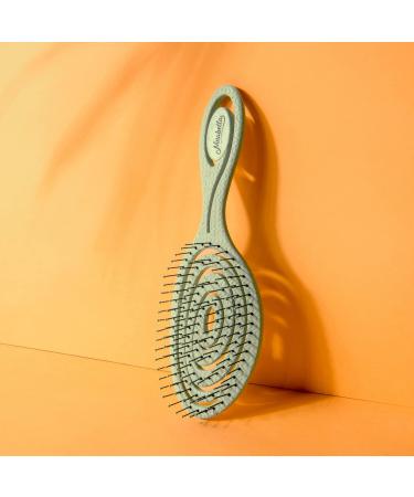 Ninabella Bio Hairbrush for All: Detangling Brush for Curls & Long Hair - Mint Green - Ideal for Men Women & Kids - Buy Online on GoSupps.com