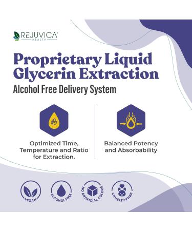 Rejuvica Health NoctuRest Natural Sleep-Aid with Valerian and Melatonin - All-Natural Liquid Formula for 2X Absorption - Magnesium L-Theanine & More - Buy Online on GoSupps.com