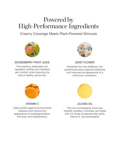 Ogee Complexion Perfecting Liquid Foundation - Lightweight Tinted Moisturizer For Face (Linden 1.25N - Light Beige, Neutral Undertone) - with Vitamin C & Jojoba Oil - Certified Organic & Made in USA Linden 1.25N - Light Bei  - Buy Online on GoSupps.com