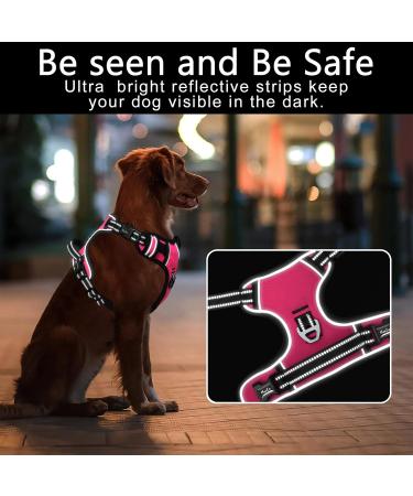 Heele Adjustable No-Pull Dog Harness for Small Dogs - Reflective Breathable & Padded Handle - Perfect Fit 35-61cm - Fuchsie Color - Buy Online on GoSupps.com