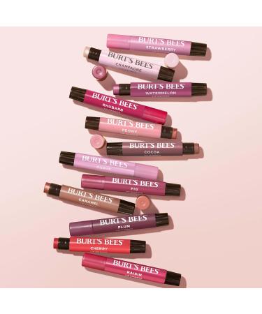 Burt's Bees Shimmer Lip Tint Tinted Lip Balm Stick Moisturizing for All Day Hydration with Natural Glowy Pigmented Finish & Buildable Color Watermelon 1 Tube 0.09 oz. (Pack of 2) 1 Count (Pack of 2) Pink - Buy Online on GoSupps.com