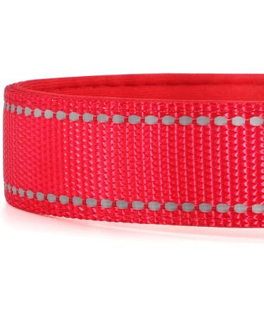 Premium Padded Reflective Dog Collar - Adjustable Soft Neoprene for Small & Large Dogs (Red 60-70cm) - Comfortable & Durable - Buy Online on GoSupps.com